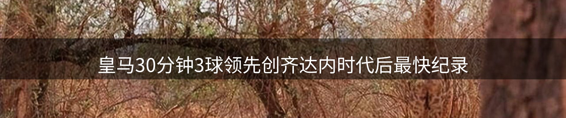 每日简报