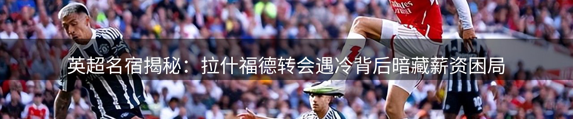 每日简报
