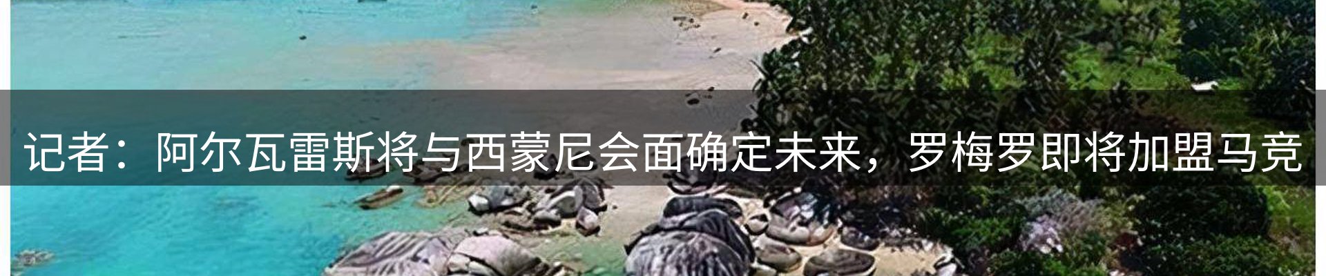 每日简报