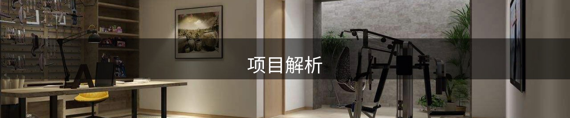 项目解析